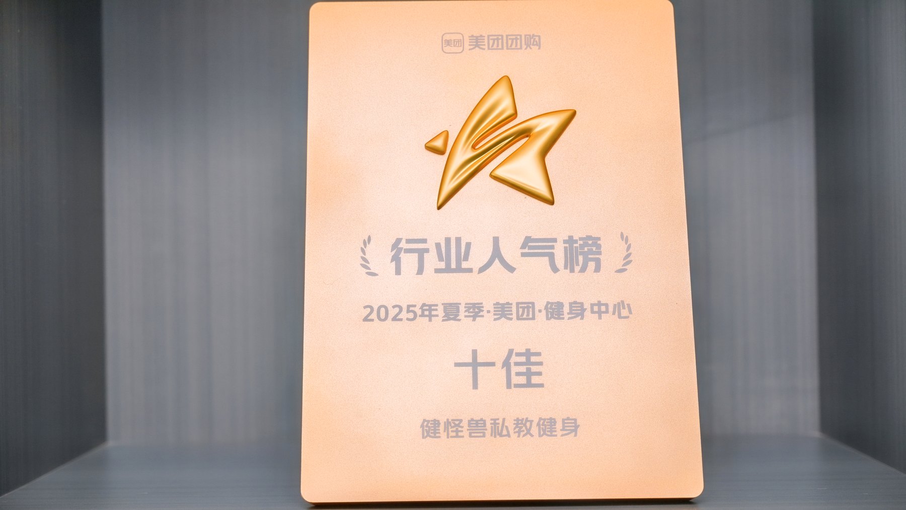 2025年度行业先锋十佳奖牌